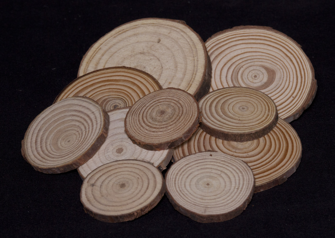 Wooden Round Slices_72