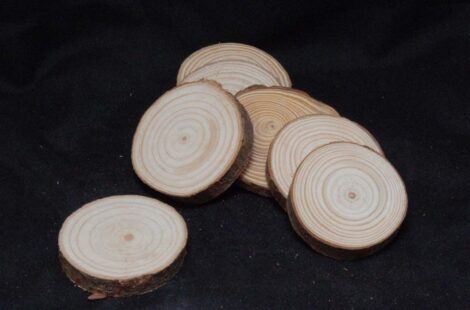 Wooden Round Slices Natural 5 – 1